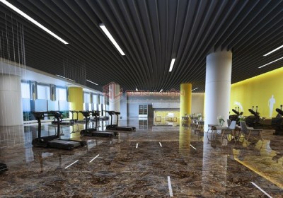 Gạch Ốp Lát APODIO  61286011